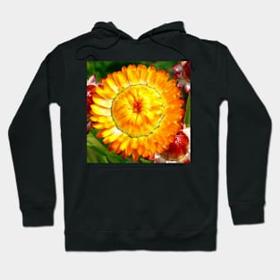 here comes the sun Hoodie